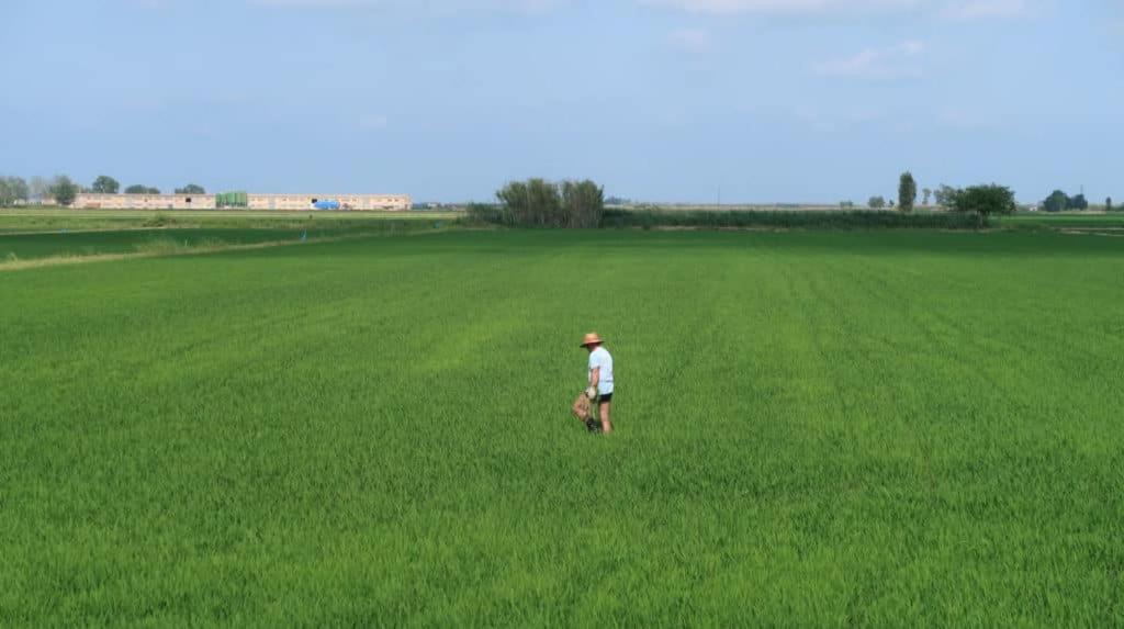 Apartamento Delta Del Ebro Amposta Bagian luar foto